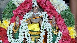 ஸ்ரீ வேணுகோபால சுவாமி/shri venugopala samy kovil 🔔⚜️கோகுலாஷ்டமி விழா  🔔⚜️PART  1 #சித்தோடு #Chithode