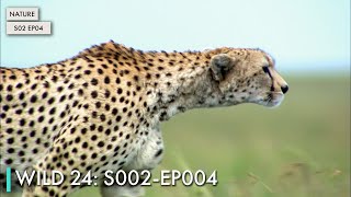 Wild 24: S02 EP04