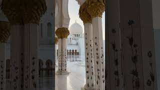 Мечеть Шейха Заида в Абу-Даби #мечеть #mosque #mosquesheikhzayed #abudhabi #uae