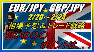 【FX】EUR/JPY GBP/JPY 2/20～2/24 相場予想＆トレード戦略（狙いは○○！ポイントは．．．）