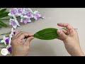 create stunning white phalaenopsis orchids flowers with pipe cleaners easy diy tutorial