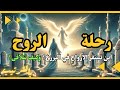 رحلة الروح بعد الموت بالترتيب (أين تستقر الأرواح في البرزخ ؟ وكيف تتلاقى؟)