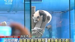 20140201 公視晚間新聞 圓仔魔力 動物園昨湧入5萬8千人