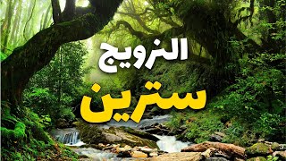 سترين النرويج: معالم سياحية مذهلة مع أهم المعلومات لرحلتك