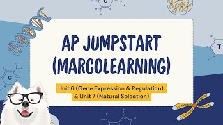 AP Jumpstart Session 3: Unit 6 \u0026 7 Review (w/ MarcoLearning)