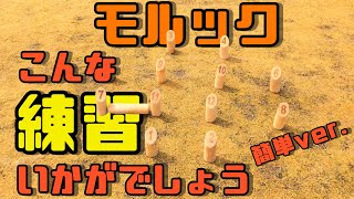 【モルック】こんな練習いかがでしょう【簡単ver.】