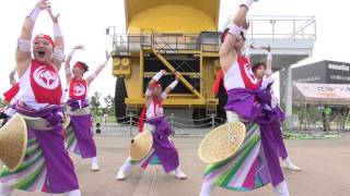 泉華菖舞美人さん　YOSAKOIソーラン日本海 加賀大会2013