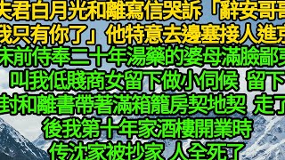 夫君白月光和離寫信「辭安哥哥我只有你了」他特意去邊塞接人進京，床前侍奉二十年湯藥的婆母滿臉鄙夷 叫我低賤商女留下做小伺候，我留下封和離書帶著滿箱籠的房契地契走了 後我第十年家酒樓開業時 传沈家人全死了