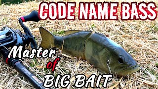 バス釣り　Master of BIG BAIT コードネームバス縛り　ビッグベイトを極めたい！