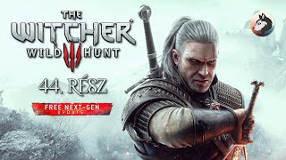 The Witcher 3 (PC - Steam - Next-Gen - MAGYAR FELIRAT - Hard) #44