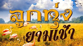 ลูกทุ่ง หนาวจัง 15 | #สุขสันต์วันเศร้า #เรียกพี่ได้ไหม #คนใต้ใจซื่อ #ใครอยากเป็นแฟน