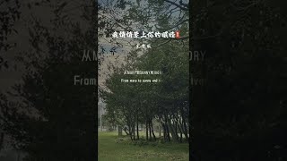 《我悄悄蒙上你的眼睛》高明駿經典老歌，聽歌的情景仿佛還在昨天#經典老歌#音樂#傷感音樂#我悄悄蒙上你的眼睛