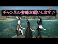 【ff14】【初心者】【ギャザラー】ギャザラー園芸lv90になったけど装備どうしようかなぁ…と悩む方へ