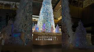 名駅のクリスマスツリーが綺麗だった… #Shorts