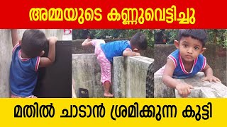 അമ്മയുടെ കണ്ണുവെട്ടിച്ചു മതിൽ ചാടാൻ ശ്രമിക്കുന്ന കുട്ടി