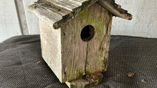 Forgotten Bird House Restoration