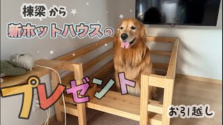 【お引っ越し】歴代の愛犬達と過ごしたこの家に『さようなら』