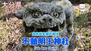 【狛犬・不動明王神社】おんせん県・やまなみハイウェイ沿いの神社