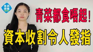 青菜都食唔起！亂象叢生，資本收割令人髮指，蔬菜漲價真是讓人抓狂！餐飲人：不敢漲價，只能死扛！#青菜漲從價 #民生 #中國新聞 #中國百姓