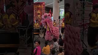 Lion Dance - Celebrate Chinese New Year  2025 @ SAFRA Choa Chu Kang | 威鹰龍獅學院 Wei Eng