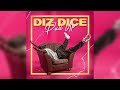 DIZ DICE - PULL UP [Official Audio]