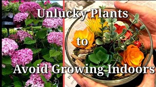 Unlucky Plants to Avoid Growing Indoors
