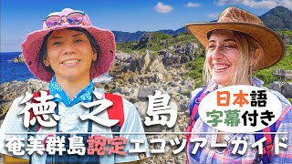 【徳之島】奄美群島エコツアー カムイヤキの森ハイキング Eco tourism in Tokunoshima Island (日本語字幕付き)