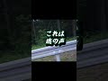 親子熊と遭遇！車の前を横切りました！岐阜県西濃地方某池田山要注意です！ ツキノワグマ