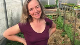 Permaculture Visite de la serre en cours d'aménagement #2