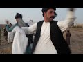 pashto attan pashto dance ali sharza sa add by shar khan sa paktoon