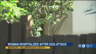 Woman hospitalized after vicious dog attack in Brandon