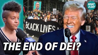 How America Went From BLM to Banning DEI in Just 4 Years