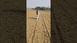 কৃষকের দক্ষতা#viral shots#agriculture#enjoy