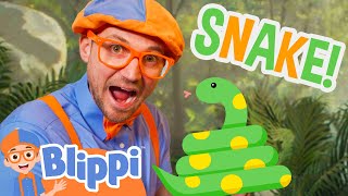Blippi Meets a Silly Snake! Blippi Educational s for Kids