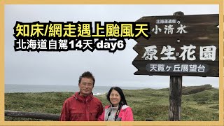 北海道自駕14天day6 知床/網走遇上颱風天