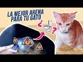 ARENAS PARA GATOS: ¡Y la mejor es…! ✨😼💩⏳ ¿Absorbente, aglomerante, sílice o ecológica?