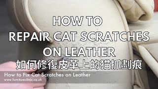 如何修復皮革上的貓爪劃痕 How To Repair Cat Scratches on Leather