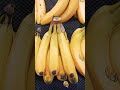 banana rich in vitamin c b3 b5 b6 potassium and fibre short fruits