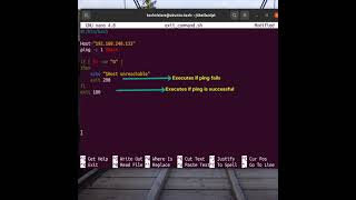 Shell scripting - Using the exit command in your script