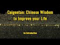 Caigentan: Chinese Wisdom to Improve your Life. An Introduction #wisdom #caigentan #improvelife