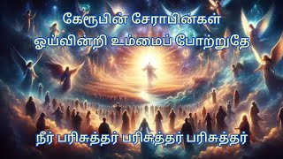 நீர் பரிசுத்தர் பரிசுத்தர் எங்கள் பரலோக ராஜாவே|Parisuthar song|Tamil Christian song|Tamil Jesus song