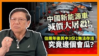 (中字)  中國新能源車減價大屠殺！究竟邊個會瓜？估兩年後其中3份2無法存活！我將現況分析給你聽！《蕭若元：理論蕭析》2023-08-17