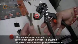 TEST Ножица за ашладисване-облагородяване-присаждане Premium JA-01 - с три ножа