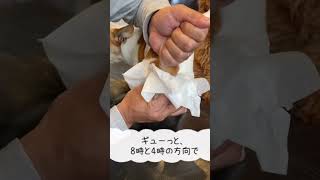 犬の肛門しぼり【ジャックラッセルテリア】