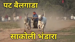 पट बैलगाडा | Sakoli Shankar pat 2025 | Sakoli Bhandara | Shankar pat | bailgada sharyat | Sakoli