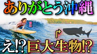 【最後のサーフィン】デカすぎる魚に遭遇しました【波の裏からみる景色】