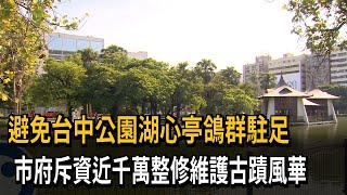 鴿群「轟炸」台中公園湖心亭！ 斥資近千萬加裝防鳥設施－民視新聞