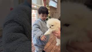 当小宝宝见到小奶狗反应，心都要化！When the little baby sees a small puppy, their heart is about to melt! #baby #puppy