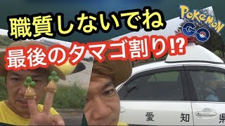 ウソハチの色違い・最終日に奇跡を起こせ！！【ポケモンGO】