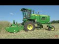 john deere w200m windrower mowing rye